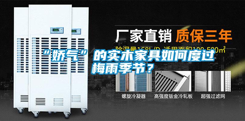 “嬌氣”的實木家具如何度過梅雨季節？