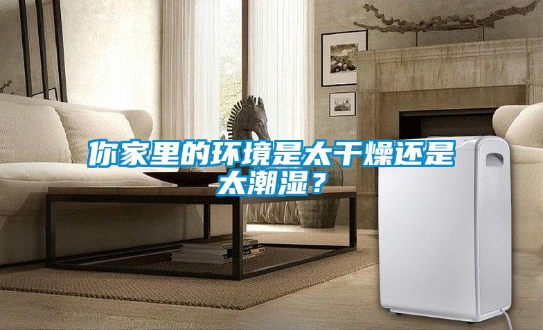 你家里的環境是太干燥還是太潮濕？