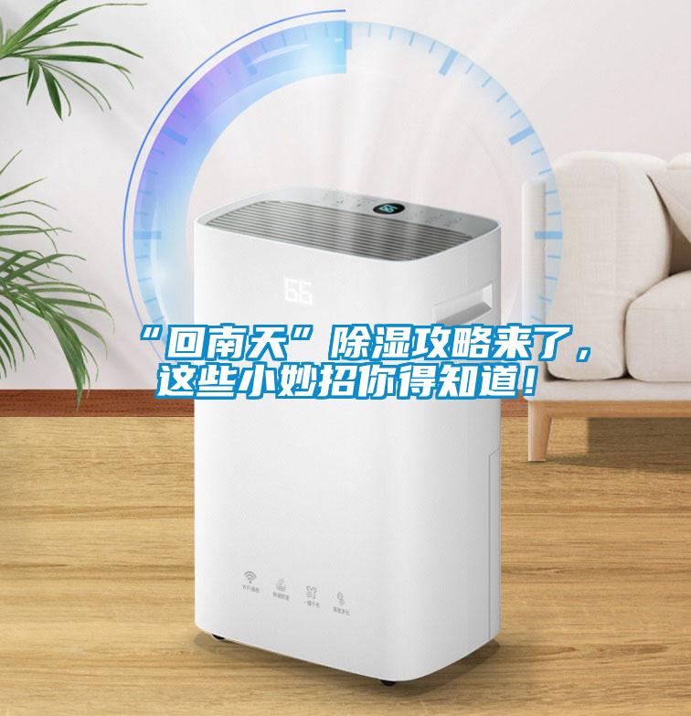 “回南天”除濕攻略來了，這些小妙招你得知道！