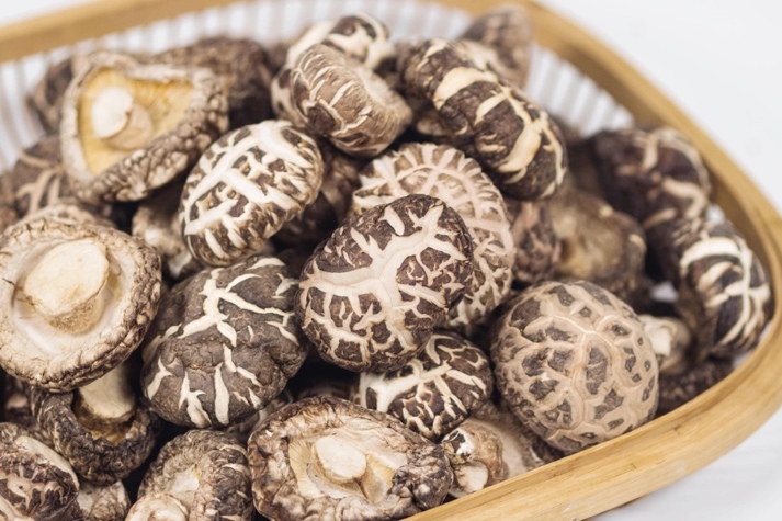 干貨倉庫怎么利用除濕機保持干爽？