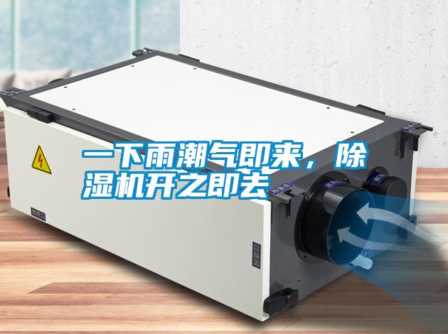一下雨潮氣即來，除濕機開之即去