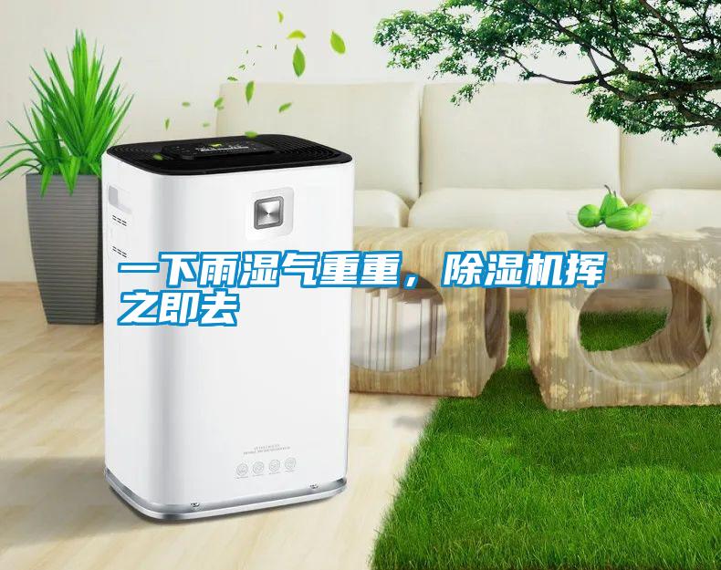 一下雨濕氣重重，除濕機揮之即去