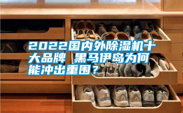 2022國內外除濕機十大品牌 黑馬伊島為何能沖出重圍？