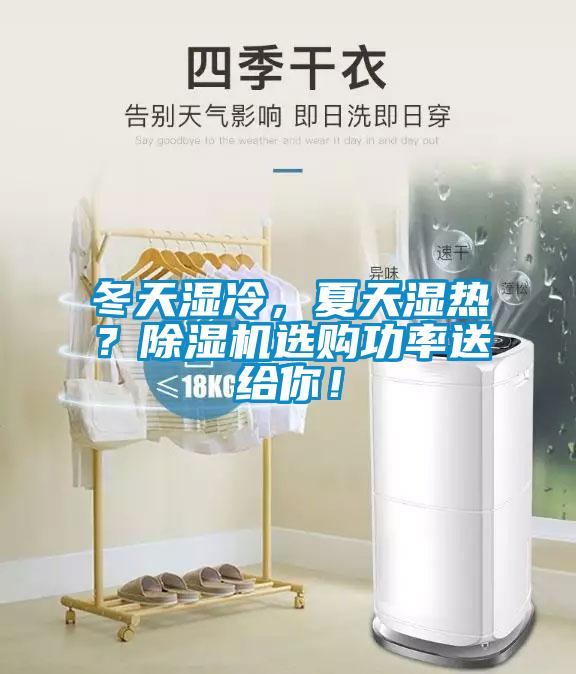 冬天濕冷，夏天濕熱？除濕機選購功率送給你！