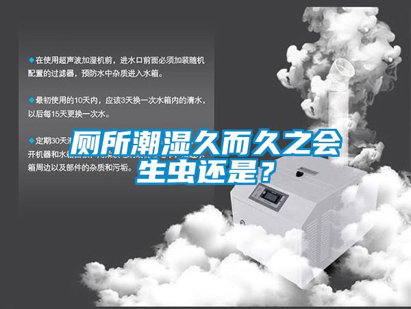 廁所潮濕久而久之會生蟲還是？