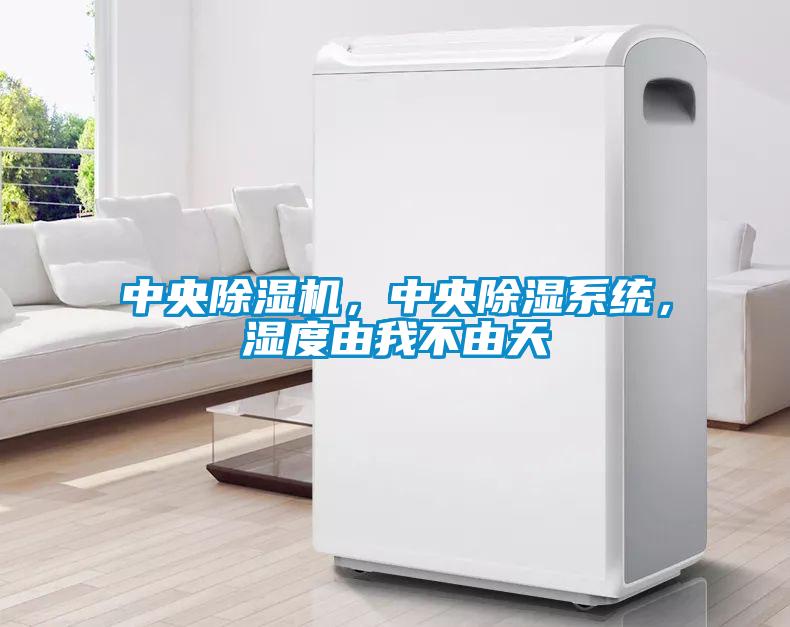 中央除濕機(jī)，中央除濕系統(tǒng)，濕度由我不由天