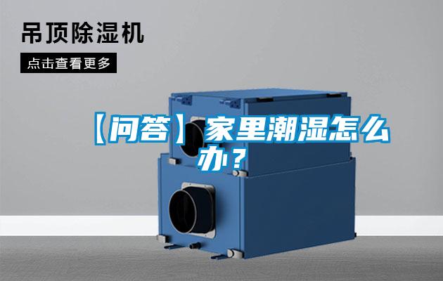 【問答】家里潮濕怎么辦？