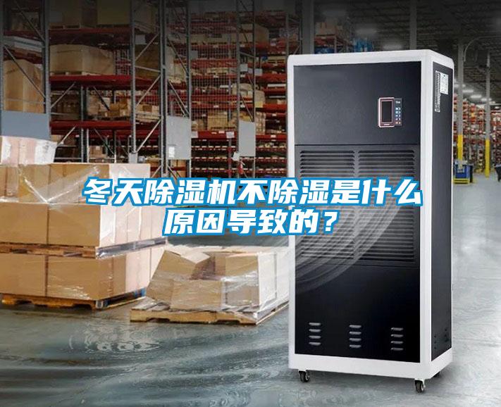 冬天除濕機不除濕是什么原因?qū)е碌模?></div>
								<div   id=