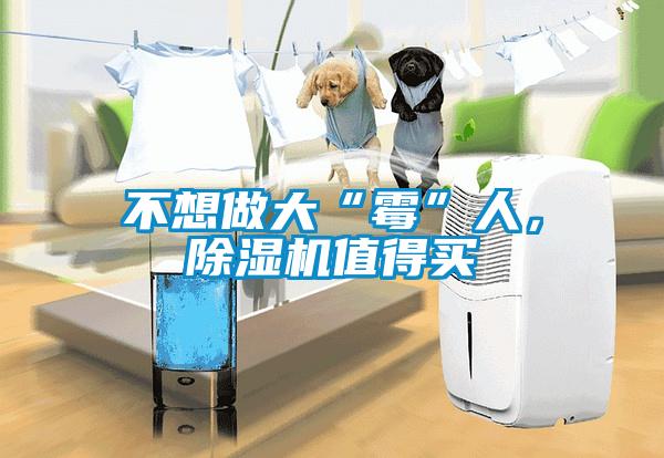 不想做大“霉”人，除濕機值得買