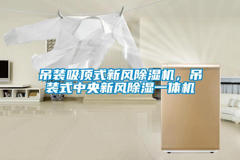 吊裝吸頂式新風(fēng)除濕機(jī)，吊裝式中央新風(fēng)除濕一體機(jī)