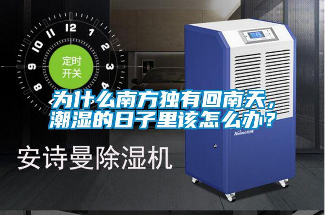 為什么南方獨(dú)有回南天，潮濕的日子里該怎么辦？
