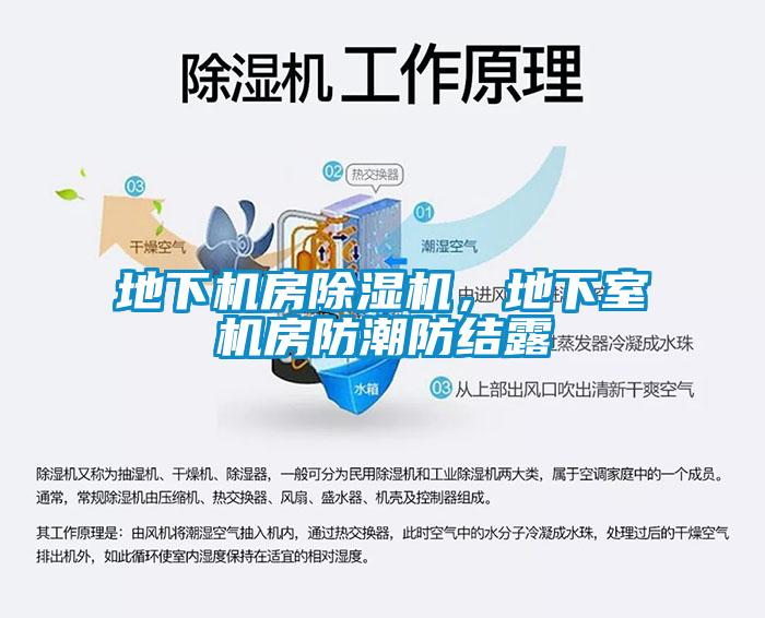 地下機(jī)房除濕機(jī)，地下室機(jī)房防潮防結(jié)露