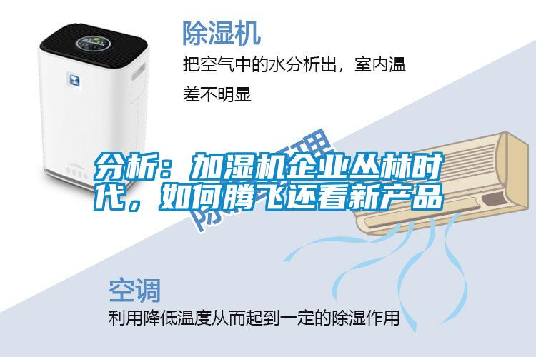 分析：加濕機(jī)企業(yè)叢林時(shí)代，如何騰飛還看新產(chǎn)品