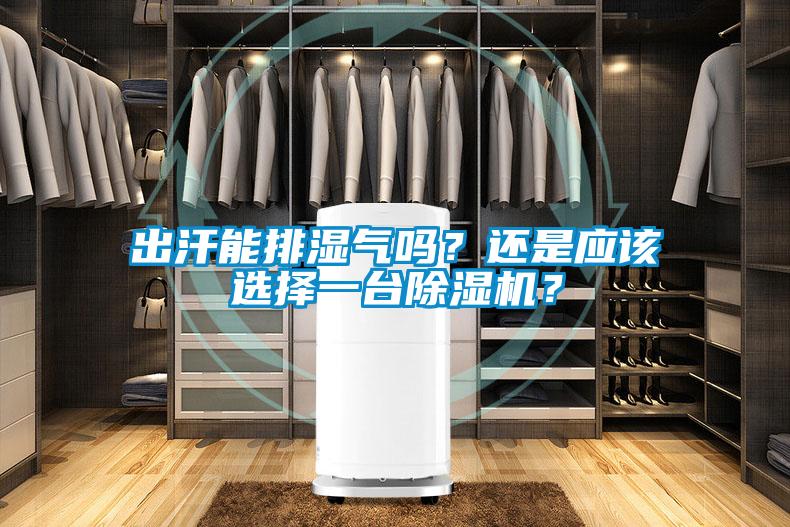 出汗能排濕氣嗎？還是應該選擇一臺除濕機？