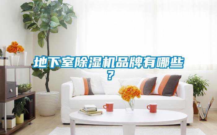 地下室除濕機(jī)品牌有哪些？