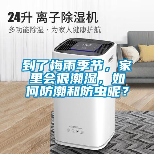到了梅雨季節，家里會很潮濕，如何防潮和防蟲呢？