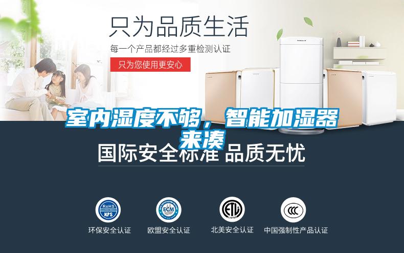 室內濕度不夠，智能加濕器來湊