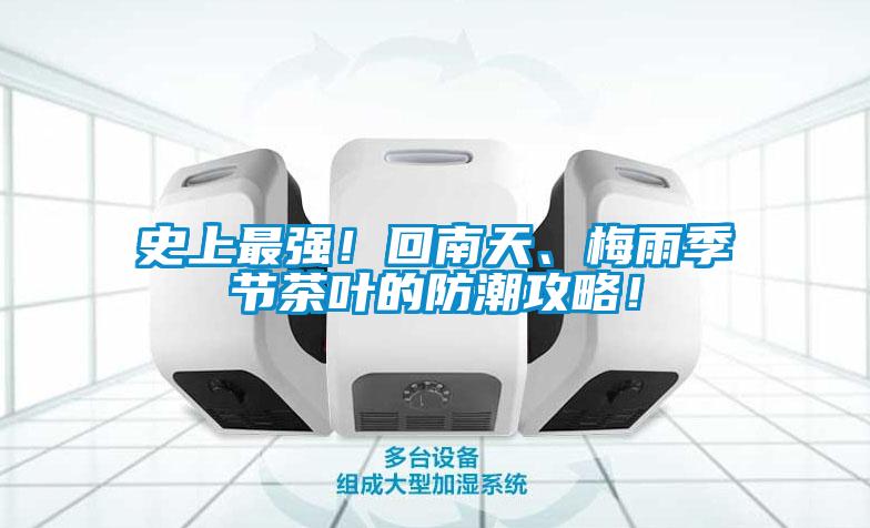 史上最強！回南天、梅雨季節茶葉的防潮攻略！
