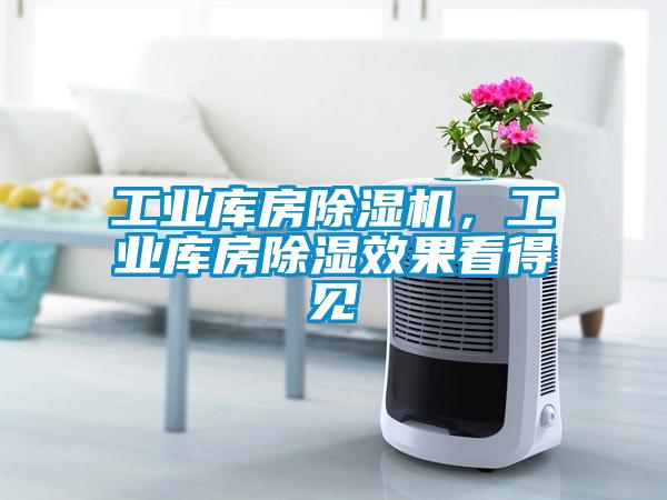 工業(yè)庫房除濕機(jī)，工業(yè)庫房除濕效果看得見