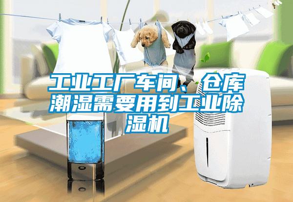 工業(yè)工廠車間、倉庫潮濕需要用到工業(yè)除濕機(jī)