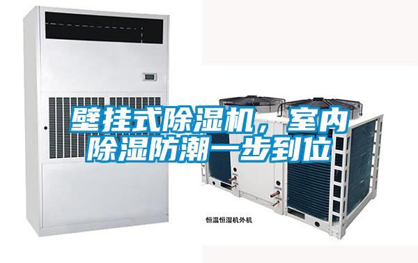 壁掛式除濕機(jī)，室內(nèi)除濕防潮一步到位