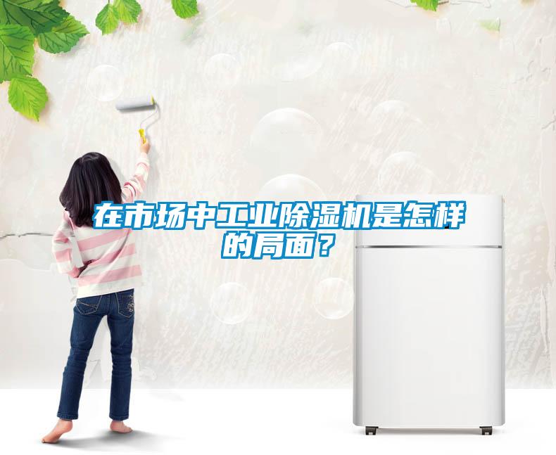 在市場中工業除濕機是怎樣的局面？