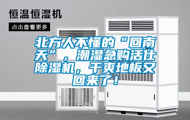 北方人不懂的“回南天”，潮濕急購(gòu)活仕除濕機(jī)，干爽地板又回來(lái)了！