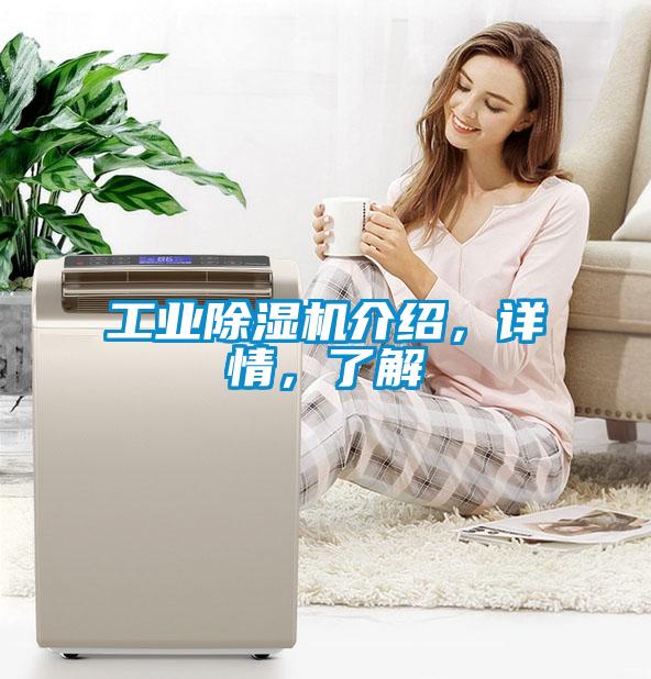 工業除濕機介紹，詳情，了解