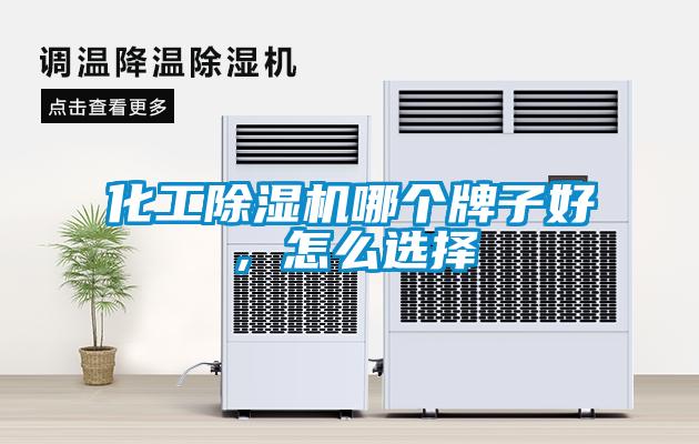 化工除濕機(jī)哪個牌子好，怎么選擇