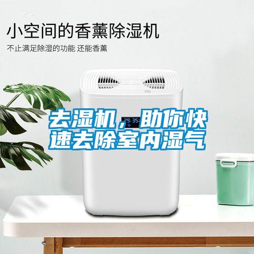 去濕機，助你快速去除室內濕氣