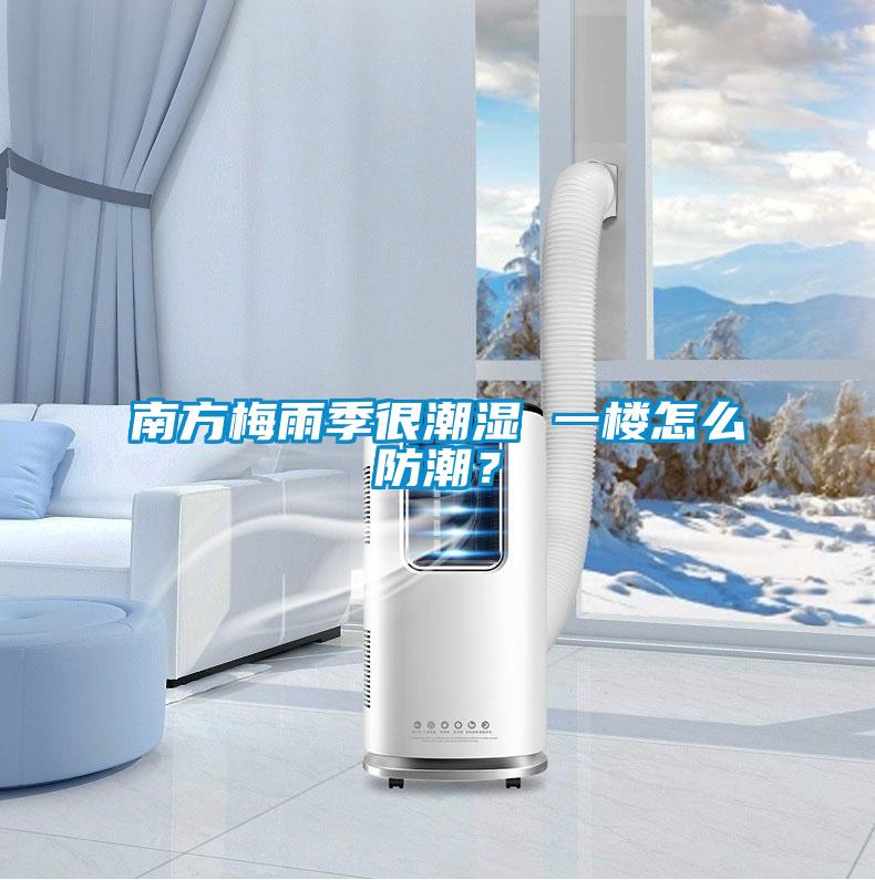 南方梅雨季很潮濕 一樓怎么防潮？