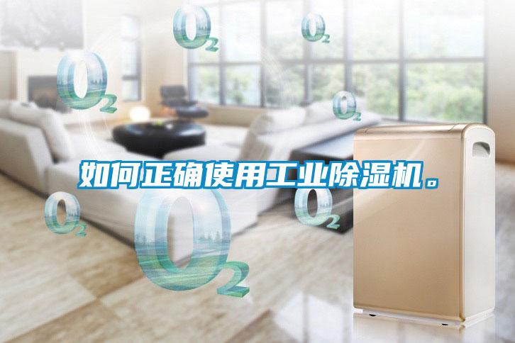 如何正確使用工業除濕機。