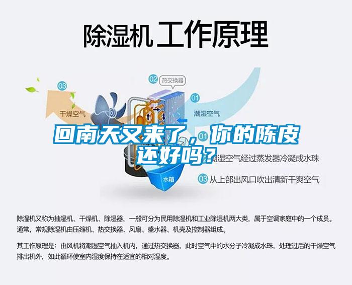 回南天又來(lái)了，你的陳皮還好嗎？