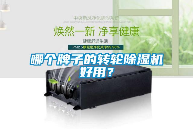 哪個牌子的轉(zhuǎn)輪除濕機(jī)好用？