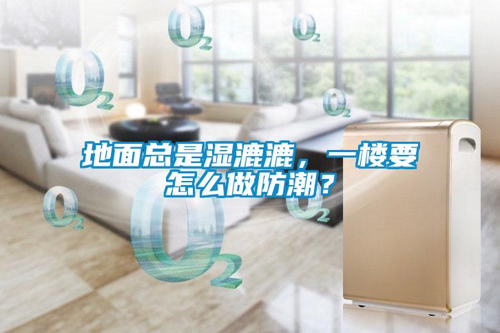 地面總是濕漉漉，一樓要怎么做防潮？