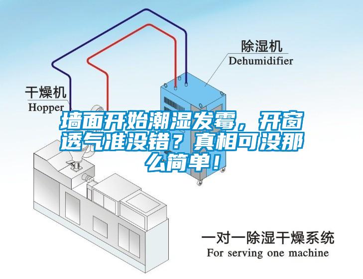 墻面開始潮濕發(fā)霉，開窗透氣準(zhǔn)沒錯(cuò)？真相可沒那么簡單！