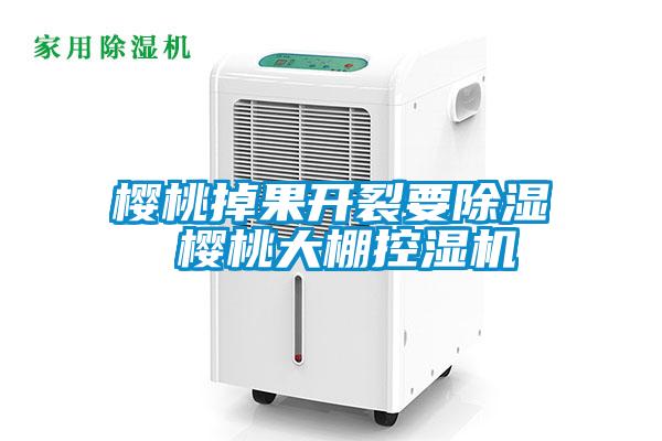 櫻桃掉果開裂要除濕 櫻桃大棚控濕機(jī)