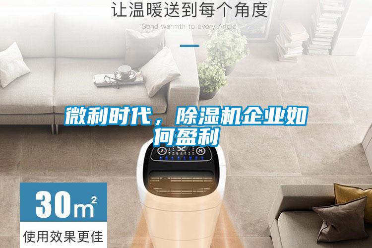 微利時(shí)代,除濕機(jī)企業(yè)如何盈利