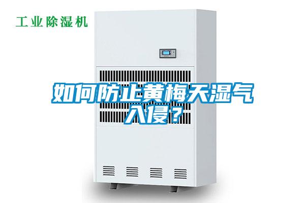 如何防止黃梅天濕氣入侵？