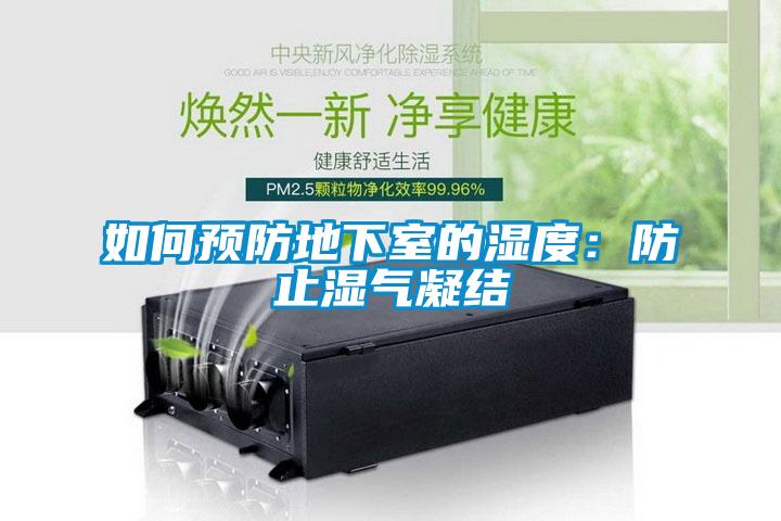 如何預防地下室的濕度:防止濕氣凝結