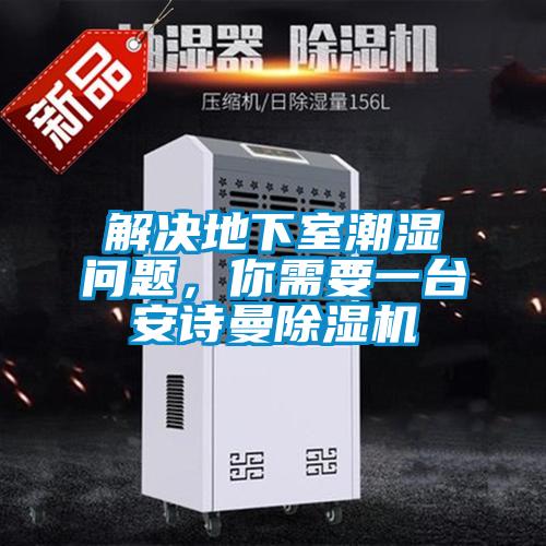解決地下室潮濕問題，你需要一臺安詩曼除濕機