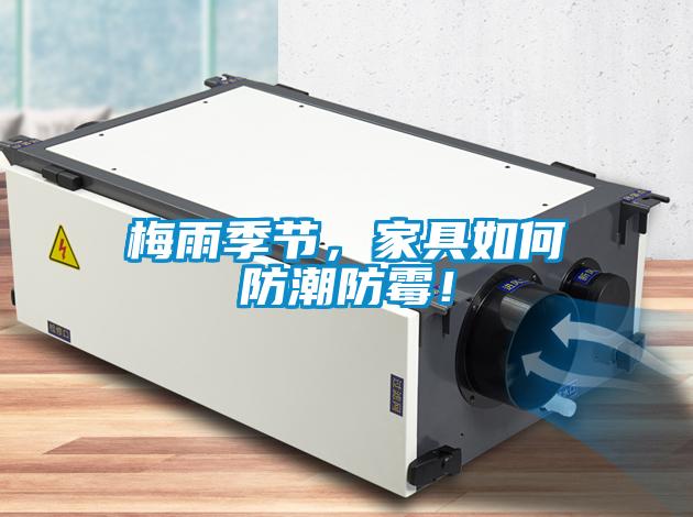 梅雨季節，家具如何防潮防霉！