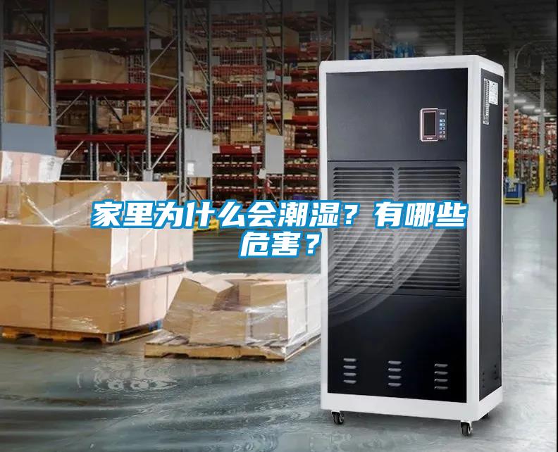 家里為什么會潮濕？有哪些危害？