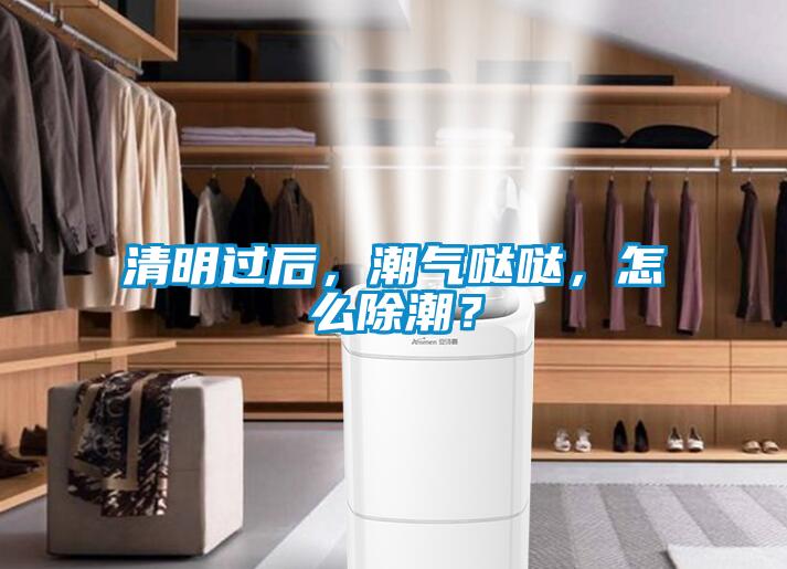 清明過后，潮氣噠噠，怎么除潮？