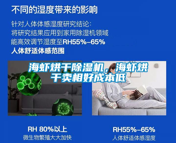 海蝦烘干除濕機，海蝦烘干賣相好成本低