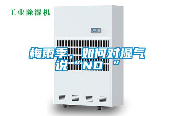 梅雨季，如何對濕氣說“NO ”