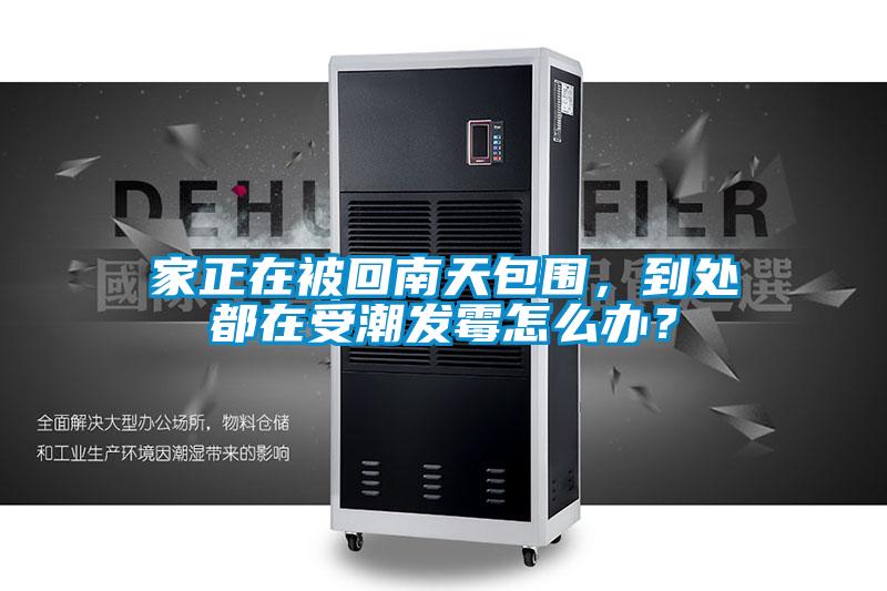 家正在被回南天包圍，到處都在受潮發霉怎么辦？