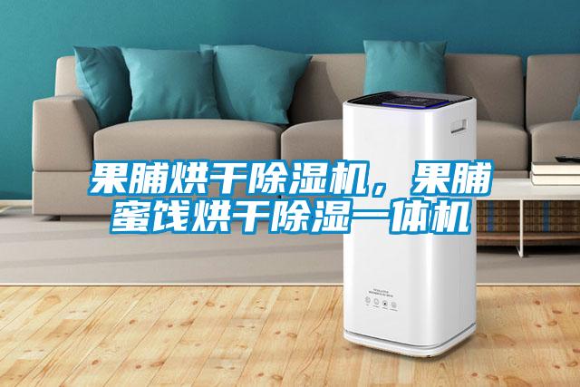 果脯烘干除濕機，果脯蜜餞烘干除濕一體機