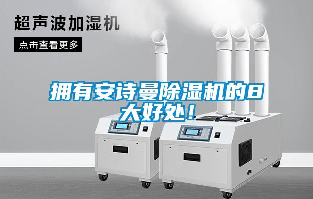 擁有安詩(shī)曼除濕機(jī)的8大好處！