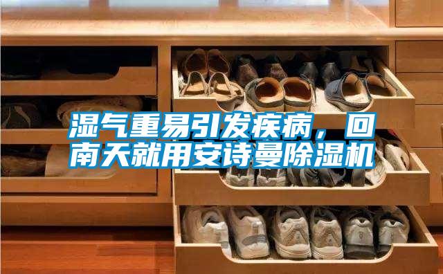 濕氣重易引發疾病，回南天就用安詩曼除濕機